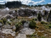 rotorua-73