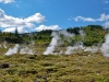 rotorua-74